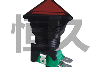 RWA-605 16A250VAC