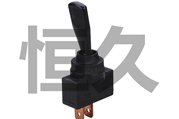 ASW-13D   2P