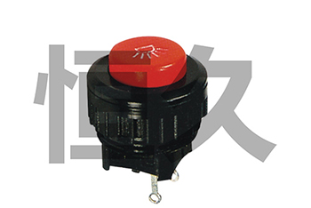 DS-510(自鎖)  ON-OFF;DS-511(無鎖)  OFF-(ON)