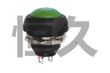 PBS-33B 1A250VAC