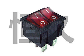RK2-21/N  ON-OFF