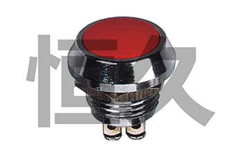 DS-12B-2