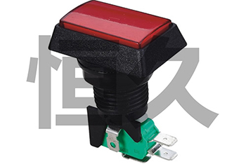 RWA-607 16A250VAC